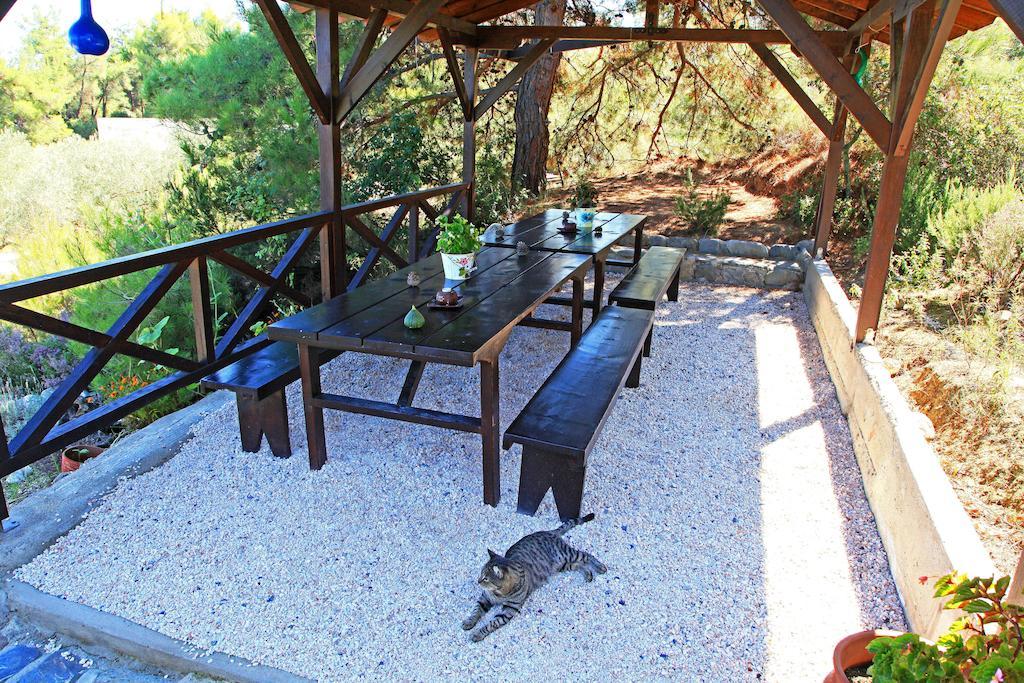 לריסוס Dionysus Apartments & Suites מראה חיצוני תמונה